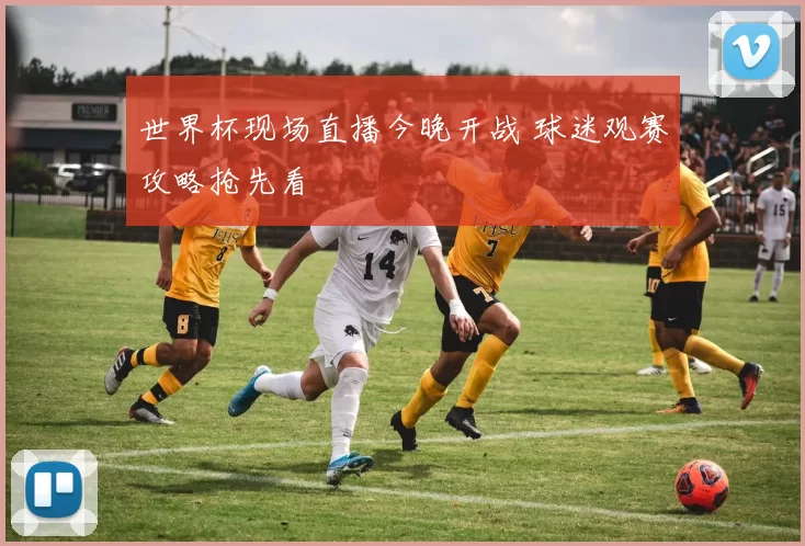 世界杯现场直播今晚开战 球迷观赛攻略抢先看