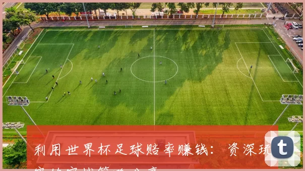 利用世界杯足球赔率赚钱：资深玩家的实战策略分享