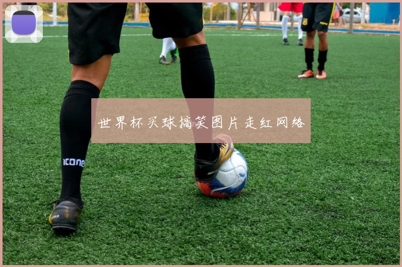 世界杯买球搞笑图片走红网络