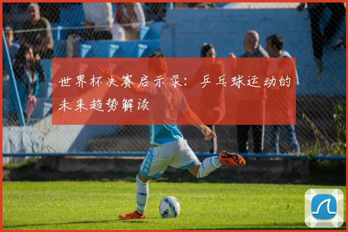 世界杯决赛启示录:乒乓球运动的未来趋势解读