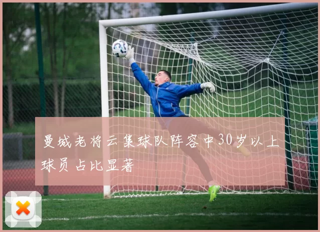 曼城老将云集球队阵容中30岁以上球员占比显著