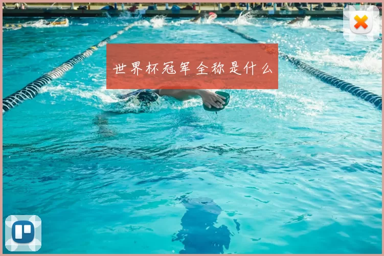 世界杯冠军全称是什么