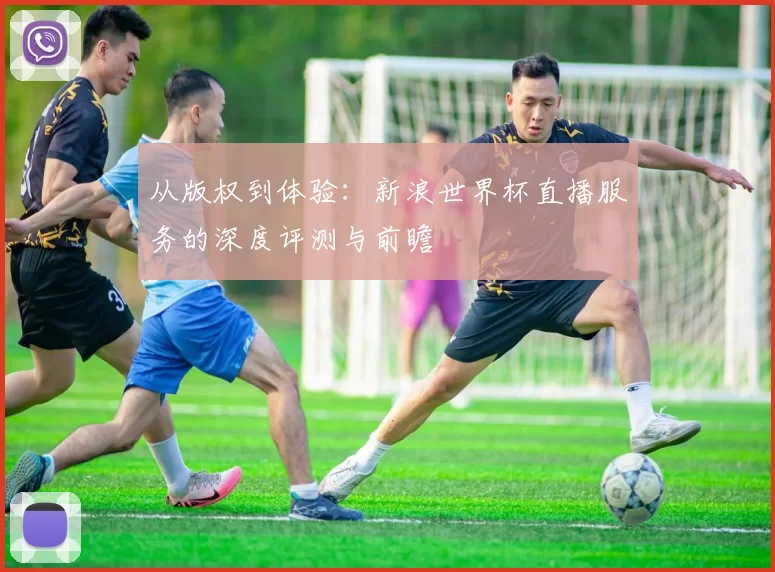 从版权到体验：新浪世界杯直播服务的深度评测与前瞻
