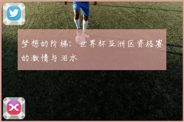 梦想的阶梯：世界杯亚洲区资格赛的激情与泪水