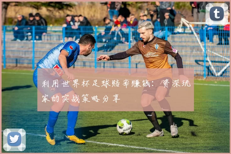 利用世界杯足球赔率赚钱：资深玩家的实战策略分享