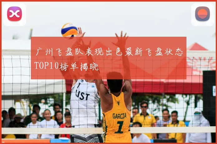 广州飞盘队表现出色最新飞盘状态TOP10榜单揭晓