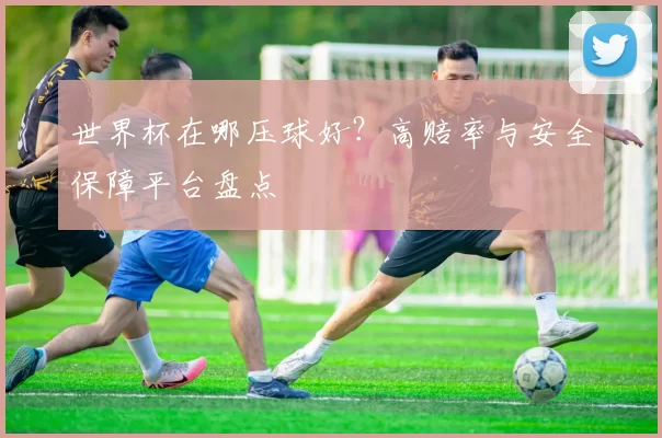 世界杯在哪压球好?高赔率与安全保障平台盘点