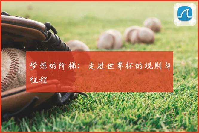梦想的阶梯:走进世界杯的规则与征程