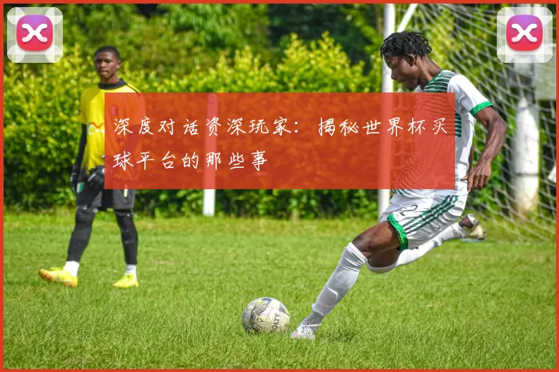 深度对话资深玩家：揭秘世界杯买球平台的那些事