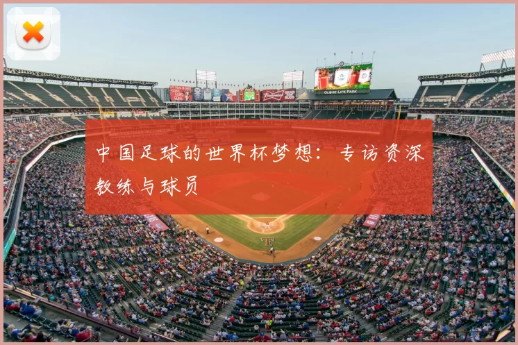 中国足球的世界杯梦想:专访资深教练与球员